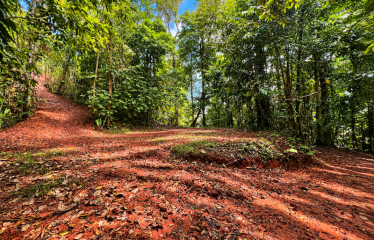 5.93-ACRE LOT WITH OCEAN VIEW AND NATURE RESERVE, IN PORTASOL