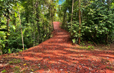5.93-ACRE LOT WITH OCEAN VIEW AND NATURE RESERVE, IN PORTASOL