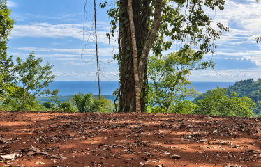 5.93-ACRE LOT WITH OCEAN VIEW AND NATURE RESERVE, IN PORTASOL