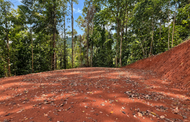 5.93-ACRE LOT WITH OCEAN VIEW AND NATURE RESERVE, IN PORTASOL