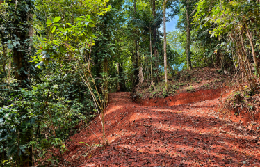 5.93-ACRE LOT WITH OCEAN VIEW AND NATURE RESERVE, IN PORTASOL