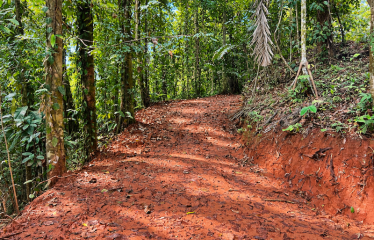 5.93-ACRE LOT WITH OCEAN VIEW AND NATURE RESERVE, IN PORTASOL