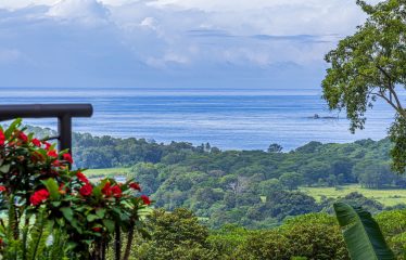 CASA MERAKI: RESIDENCE WITH PACIFIC VIEWS AND INFINITY POOL, IN UVITA