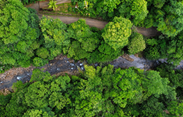 5.93-ACRE LOT WITH OCEAN VIEW AND NATURE RESERVE, IN PORTASOL