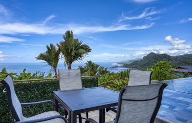 LUXURY RESIDENCE WITH INFINITY POOL AND OCEAN VIEW, IN DOMINICALITO