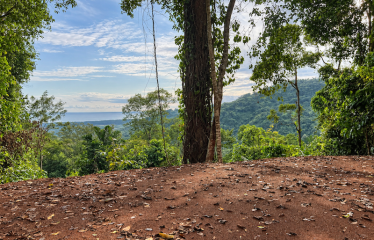5.93-ACRE LOT WITH OCEAN VIEW AND NATURE RESERVE, IN PORTASOL