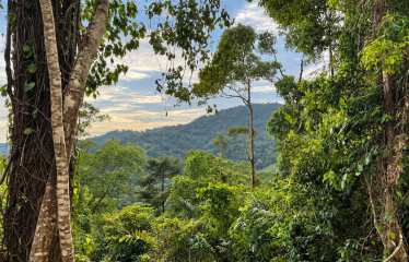 5.93-ACRE LOT WITH OCEAN VIEW AND NATURE RESERVE, IN PORTASOL