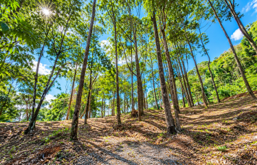 BUILDING LOT WITH VIEWS OF TWO WATERFALLS NEAR PLAYA DOMINICAL – 2.47 ACRES