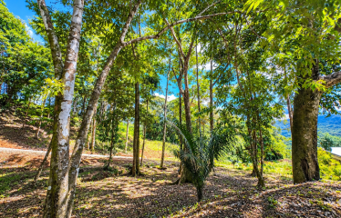 BUILDING LOT WITH VIEWS OF TWO WATERFALLS NEAR PLAYA DOMINICAL – 2.47 ACRES