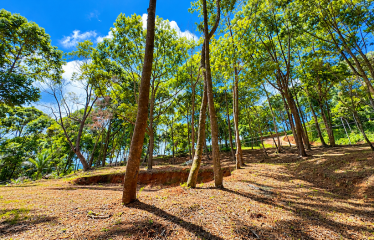 BUILDING LOT WITH VIEWS OF TWO WATERFALLS NEAR PLAYA DOMINICAL – 2.47 ACRES
