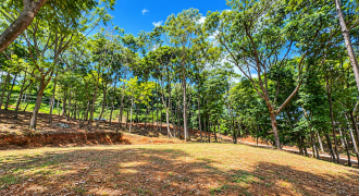 BUILDING LOT WITH VIEWS OF TWO WATERFALLS NEAR PLAYA DOMINICAL – 2.47 ACRES