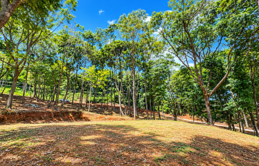 BUILDING LOT WITH VIEWS OF TWO WATERFALLS NEAR PLAYA DOMINICAL – 2.47 ACRES