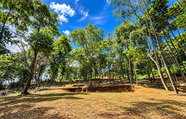 BUILDING LOT WITH VIEWS OF TWO WATERFALLS NEAR PLAYA DOMINICAL – 2.47 ACRES
