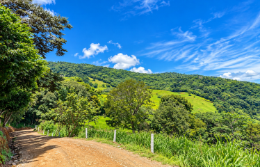BUILDING LOT WITH VIEWS OF TWO WATERFALLS NEAR PLAYA DOMINICAL – 2.47 ACRES