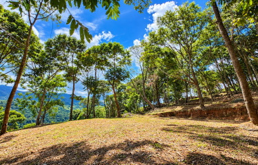 BUILDING LOT WITH VIEWS OF TWO WATERFALLS NEAR PLAYA DOMINICAL – 2.47 ACRES
