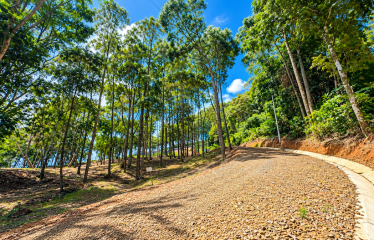 BUILDING LOT WITH VIEWS OF TWO WATERFALLS NEAR PLAYA DOMINICAL – 2.47 ACRES
