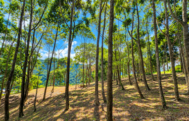BUILDING LOT WITH VIEWS OF TWO WATERFALLS NEAR PLAYA DOMINICAL – 2.47 ACRES