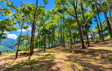 BUILDING LOT WITH VIEWS OF TWO WATERFALLS NEAR PLAYA DOMINICAL – 2.47 ACRES