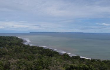 EXPANSIVE JUNGLE AND BEACH PROPERTY, IN PAVONES – 105 ACRES