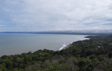 EXPANSIVE JUNGLE AND BEACH PROPERTY, IN PAVONES – 105 ACRES