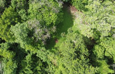 EXPANSIVE JUNGLE AND BEACH PROPERTY, IN PAVONES – 105 ACRES