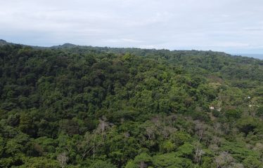 EXPANSIVE JUNGLE AND BEACH PROPERTY, IN PAVONES – 105 ACRES