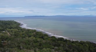 EXPANSIVE JUNGLE AND BEACH PROPERTY, IN PAVONES – 105 ACRES