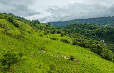 222-ACRE ECO-TOURISM PROPERTY WITH 210-FOOT WATERFALL, IN THE UP OF PLATANILLO