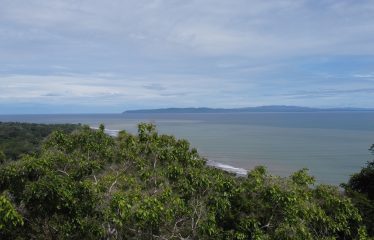 EXPANSIVE JUNGLE AND BEACH PROPERTY, IN PAVONES – 105 ACRES