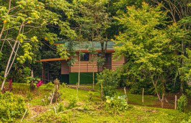 222-ACRE ECO-TOURISM PROPERTY WITH 210-FOOT WATERFALL, IN THE UP OF PLATANILLO