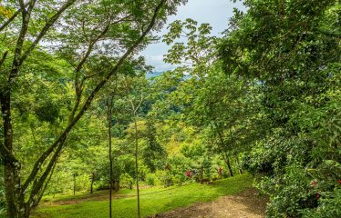 222-ACRE ECO-TOURISM PROPERTY WITH 210-FOOT WATERFALL, IN THE UP OF PLATANILLO