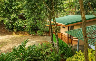 222-ACRE ECO-TOURISM PROPERTY WITH 210-FOOT WATERFALL, IN THE UP OF PLATANILLO