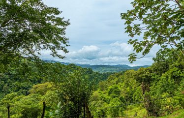 222-ACRE ECO-TOURISM PROPERTY WITH 210-FOOT WATERFALL, IN THE UP OF PLATANILLO