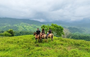 222-ACRE ECO-TOURISM PROPERTY WITH 210-FOOT WATERFALL, IN THE UP OF PLATANILLO