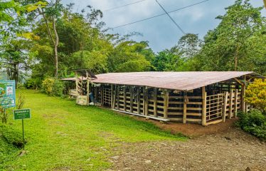 222-ACRE ECO-TOURISM PROPERTY WITH 210-FOOT WATERFALL, IN THE UP OF PLATANILLO