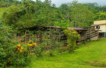 222-ACRE ECO-TOURISM PROPERTY WITH 210-FOOT WATERFALL, IN THE UP OF PLATANILLO