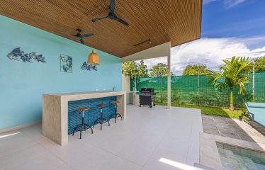 CASA LIBELULA BRAND-NEW MODERN TROPICAL HOME, IN UVITA