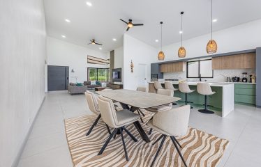 CASA LIBELULA BRAND-NEW MODERN TROPICAL HOME, IN UVITA