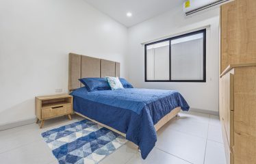 CASA LIBELULA BRAND-NEW MODERN TROPICAL HOME, IN UVITA