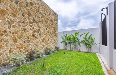 CASA LIBELULA BRAND-NEW MODERN TROPICAL HOME, IN UVITA
