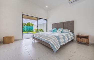 CASA LIBELULA BRAND-NEW MODERN TROPICAL HOME, IN UVITA