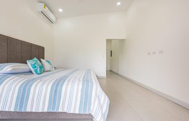 CASA LIBELULA BRAND-NEW MODERN TROPICAL HOME, IN UVITA