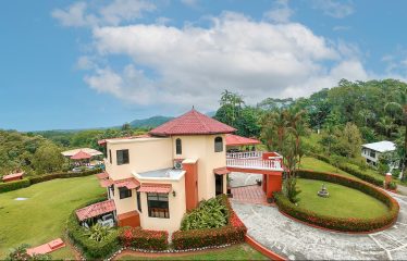 TROPICAL PROPERTY WITH HOUSE AND SUITE, IN NARANJITO – 1.7 ACRES