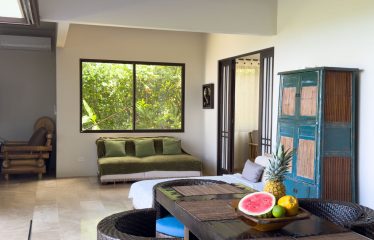 PRIVATE 4-BEDROOM RESIDENCE WITH PANORAMIC OCEAN VIEWS, IN DOMINICALITO – 1.48 ACRES