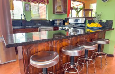 TROPICAL PROPERTY WITH HOUSE AND SUITE, IN NARANJITO – 1.7 ACRES