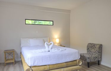 PRIVATE 4-BEDROOM RESIDENCE WITH PANORAMIC OCEAN VIEWS, IN DOMINICALITO – 1.48 ACRES