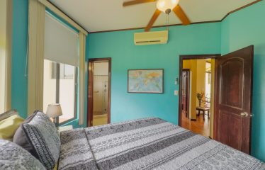 TROPICAL PROPERTY WITH HOUSE AND SUITE, IN NARANJITO – 1.7 ACRES