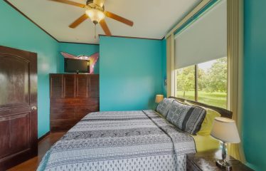 TROPICAL PROPERTY WITH HOUSE AND SUITE, IN NARANJITO – 1.7 ACRES