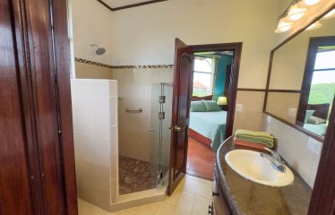 TROPICAL PROPERTY WITH HOUSE AND SUITE, IN NARANJITO – 1.7 ACRES