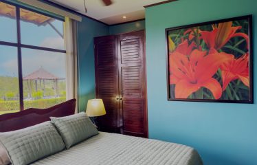TROPICAL PROPERTY WITH HOUSE AND SUITE, IN NARANJITO – 1.7 ACRES